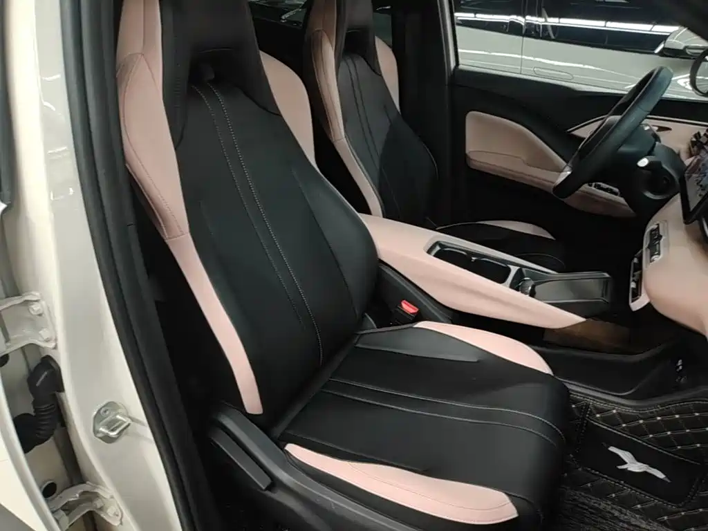 BYD Seagull 2026 2025 Smart Drive Edition 305km Vitality Version