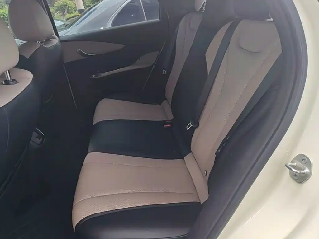 BYD Dolphin 2025 2025 Smart Drive Edition 420km Freedom Version