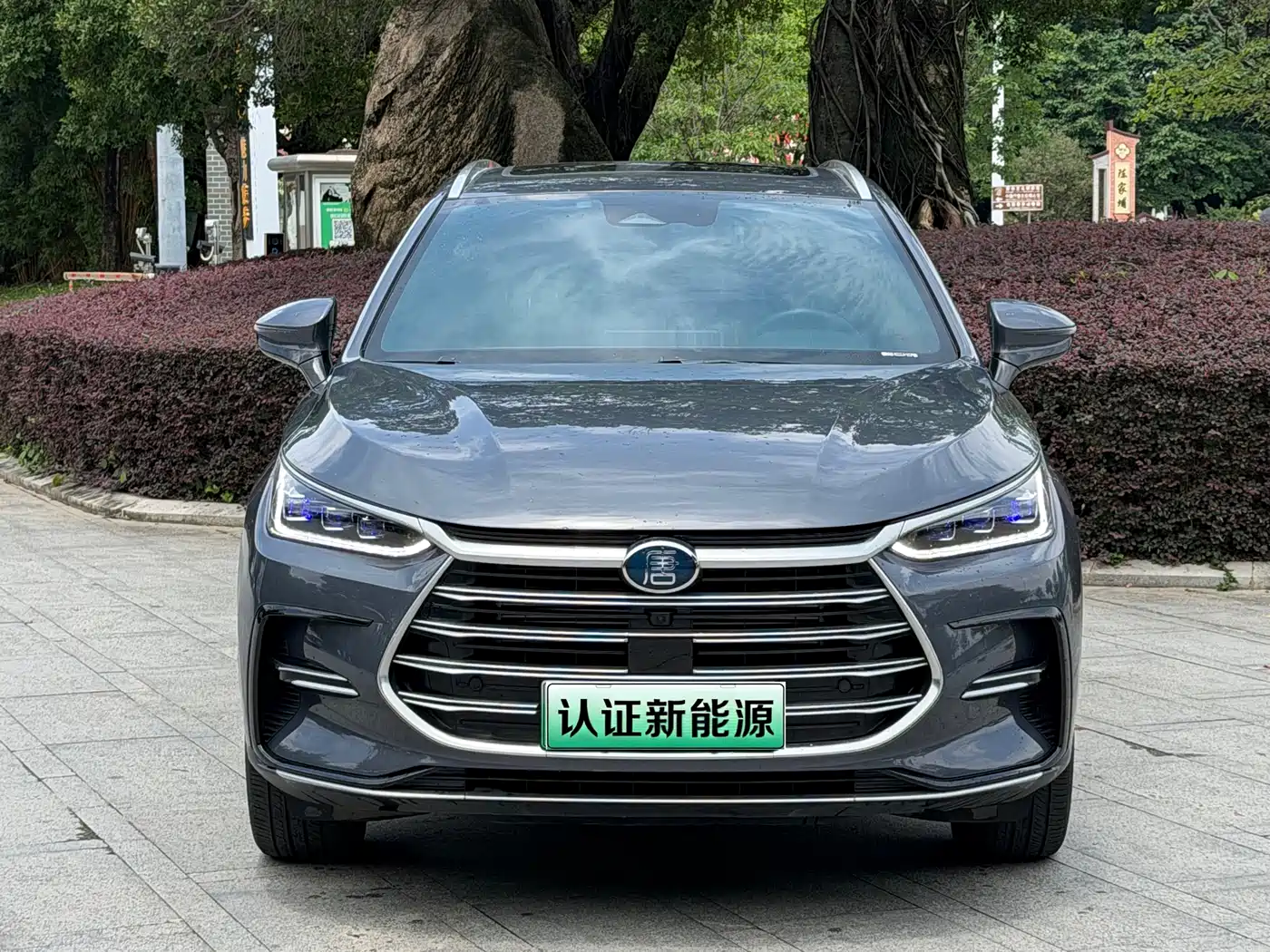 BYD Tang New Energy 2021 DM-i 52KM Luxury фото 2