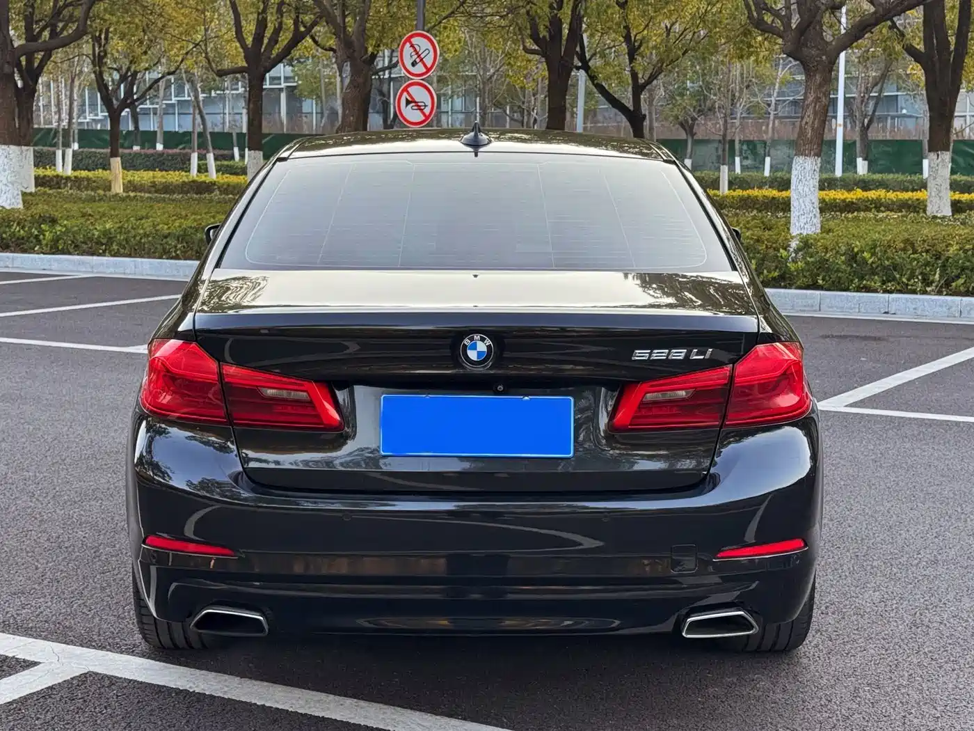 BMW 5 Series 2018 528Li Launch Special Edition фото 5