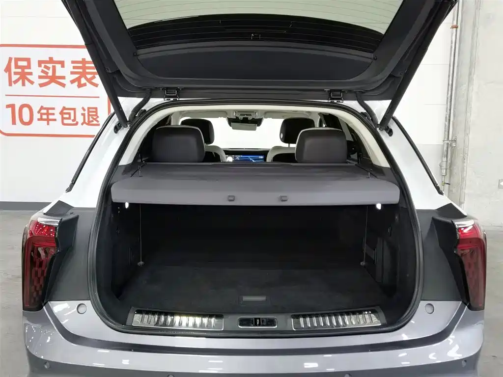 Hongqi E-HS9 2021 510km Flagship Edition 4-seater фото 16