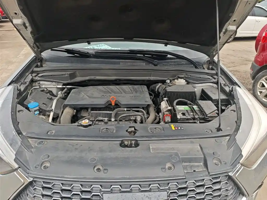 Haval H6 Coupe 2019 1.5T Auto 2WD Luxury Smart Edition China VI фото 20