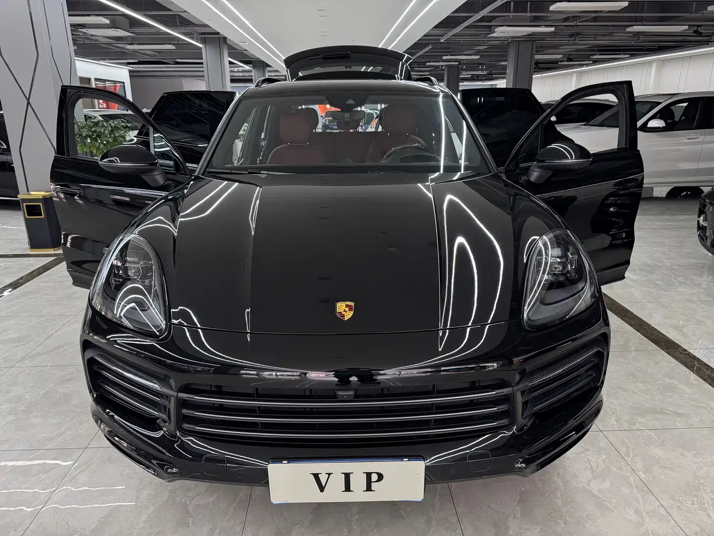 Porsche Cayenne 2023 Cayenne 3.0T Platinum Edition фото 21