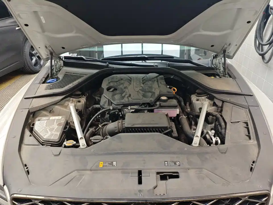 Genesis G80 2024 2024 2.5T 4WD Luxury Edition