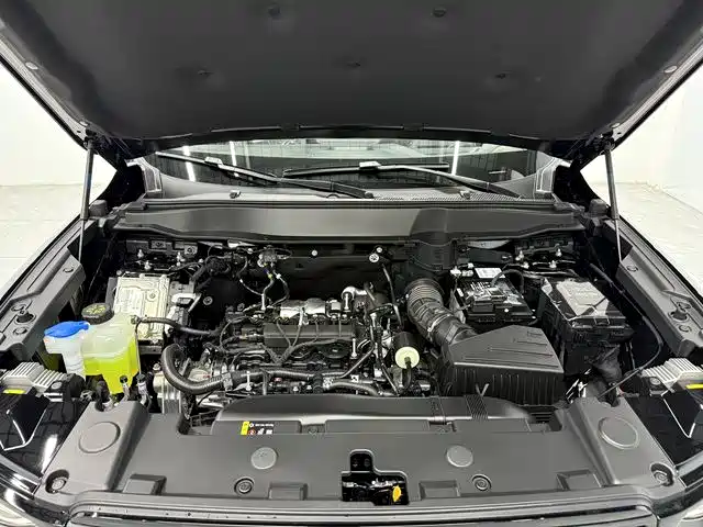 Haval Big Dog 2026 Model 1.5T High Configuration фото 9
