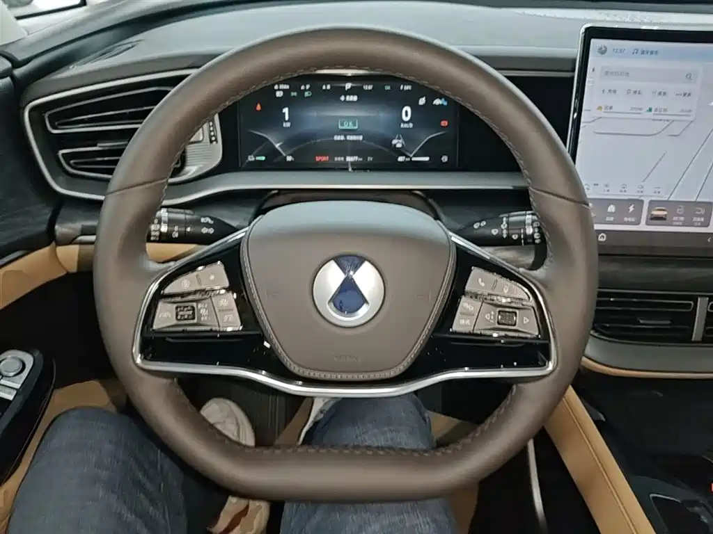 Denza D9 2024 DM-i 980 AWD Premium фото 11
