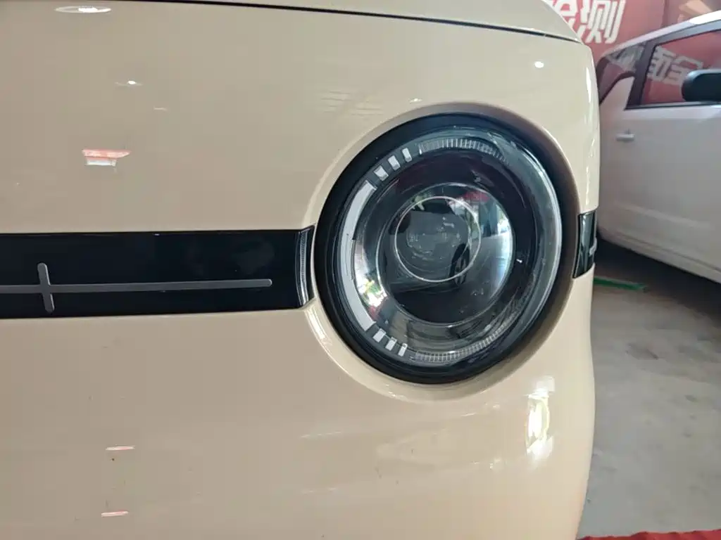 Geely Galaxy Panda 2026 2025 Panda mini 210km Vitality Bear