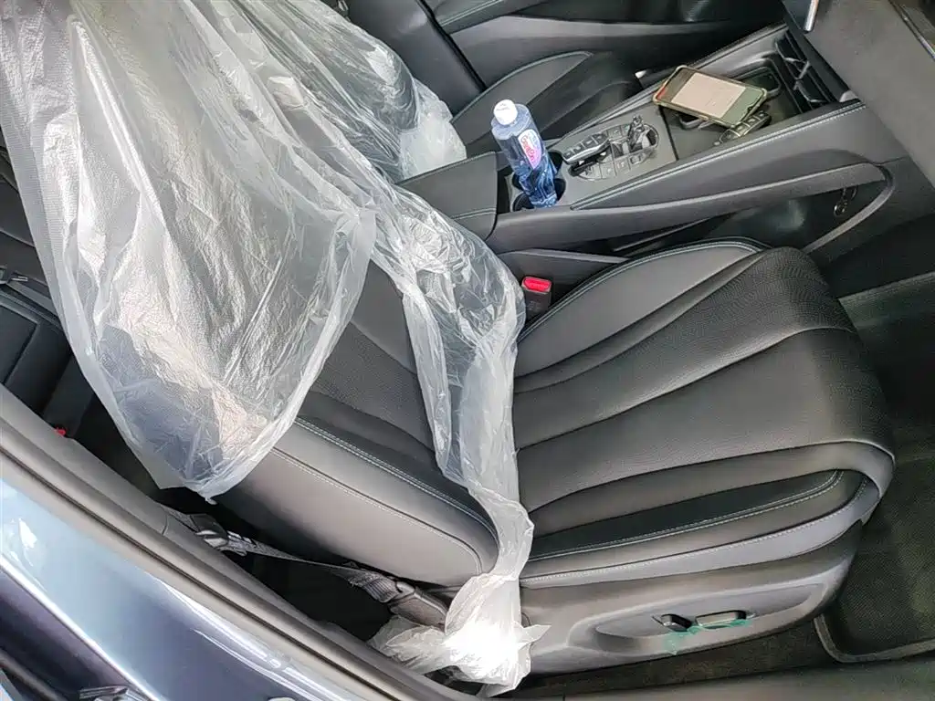 BYD Seal 06 New Energy 2024 DM-i 120KM Premium фото 25
