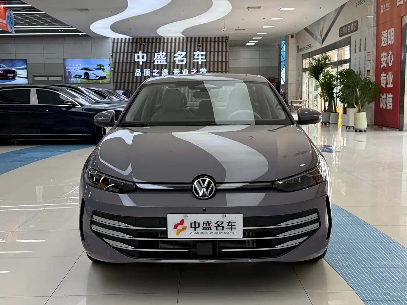 VOLKSWAGEN LAVIDA