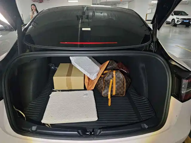 Tesla Model 3 2021 Facelift Standard Range RWD Upgrade 3D1 — фото 5