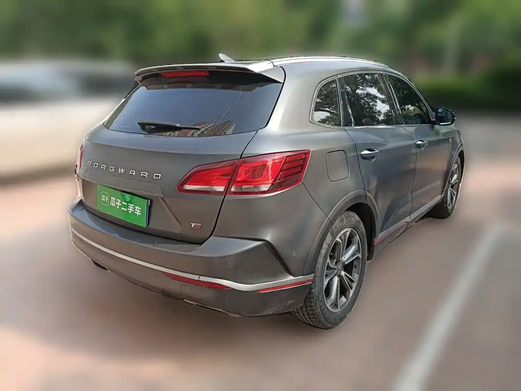 Borgward BX7 2019 2018 2.0T TS AWD Luxury (China V)