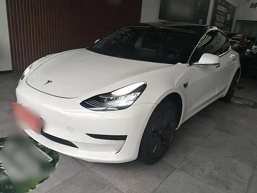 Tesla Model 3 (Import) 2019 — пригон из Китая