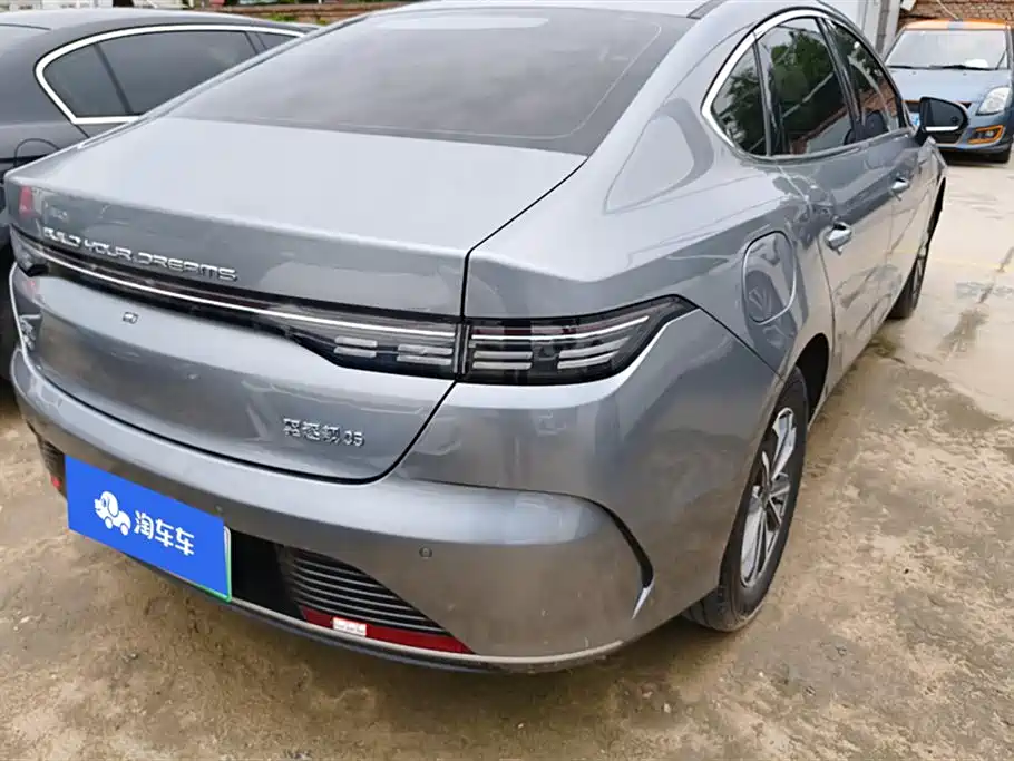 BYD Destroyer 05 2024 Glory Edition DM-i 55KM Luxury фото 3
