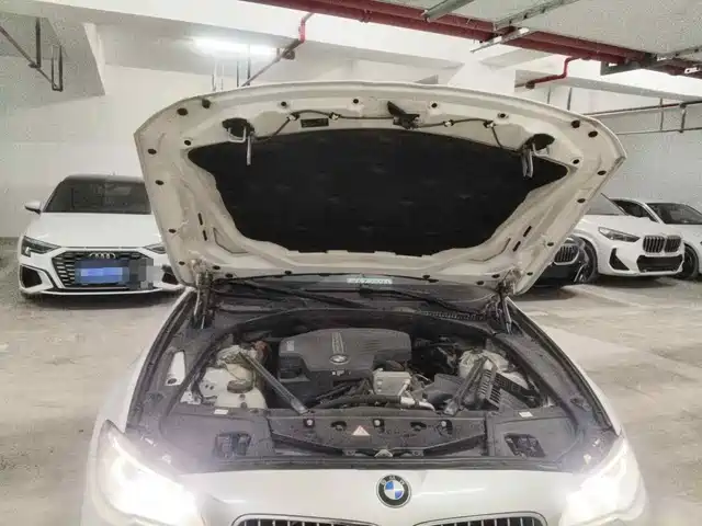 BMW 5 Series 2014 525Li Luxury Design Package — фото 3