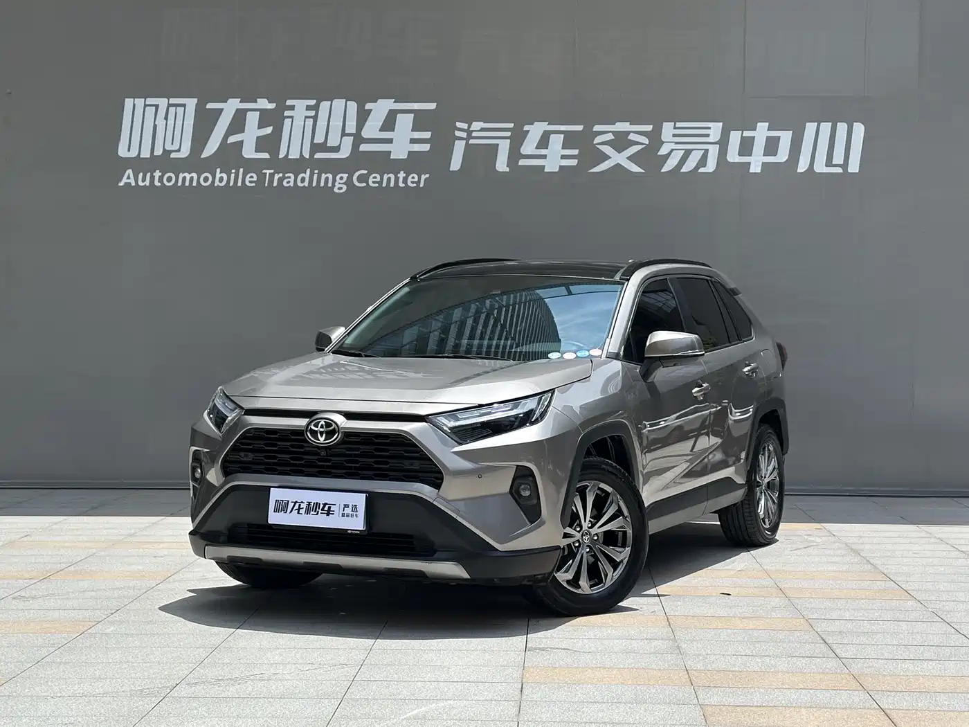 Toyota RAV4 Rongfang 2023 2.0L CVT FWD Style Plus Edition