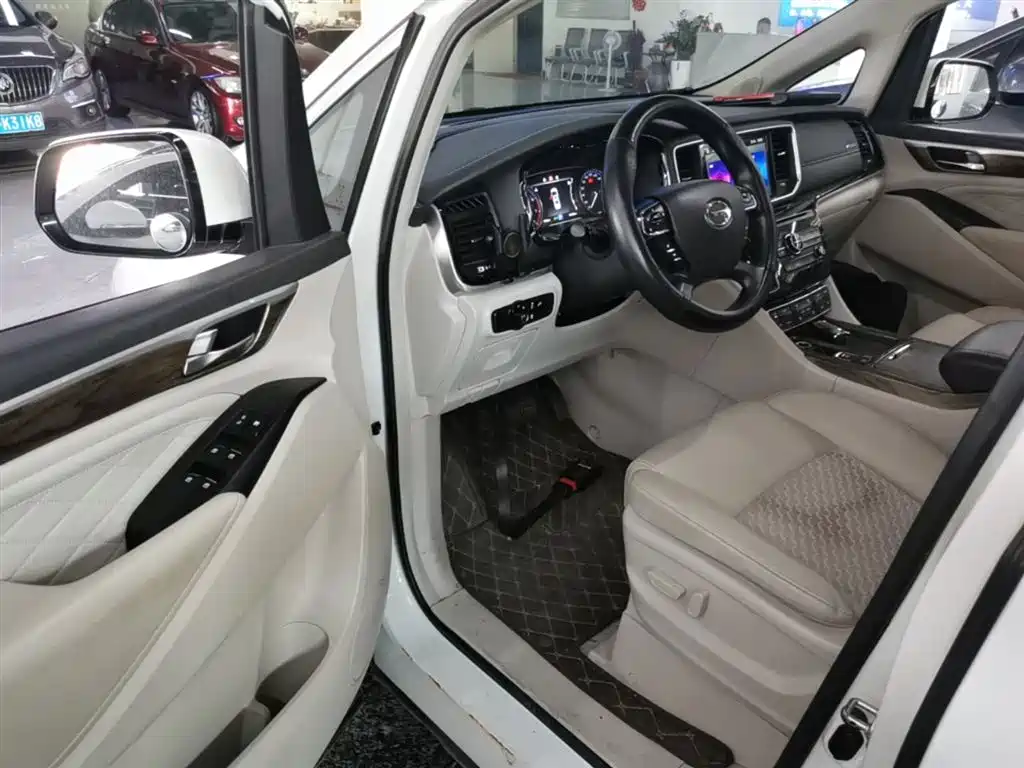 GAC Trumpchi Trumpchi M8 2020 Pilot 390T Luxury Edition фото 16