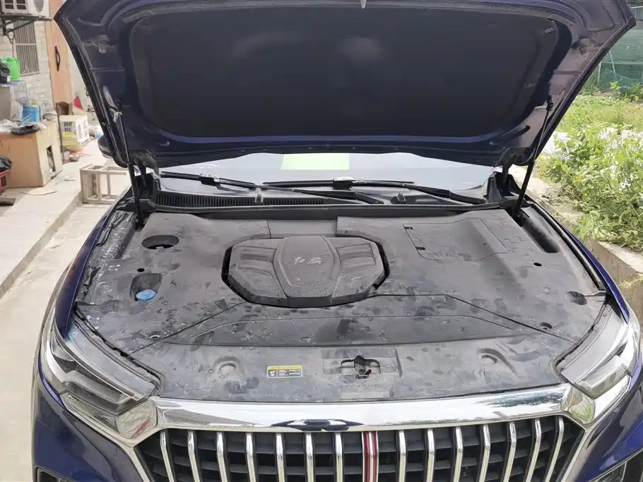 Hongqi HS5 2019 2.0T Smart Connect Enjoy 4WD Edition фото 10