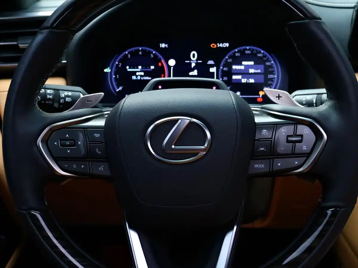 Lexus LX 2025 700h Boundary Edition фото 21