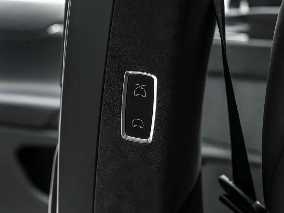 Фото 24 - Tesla Model X