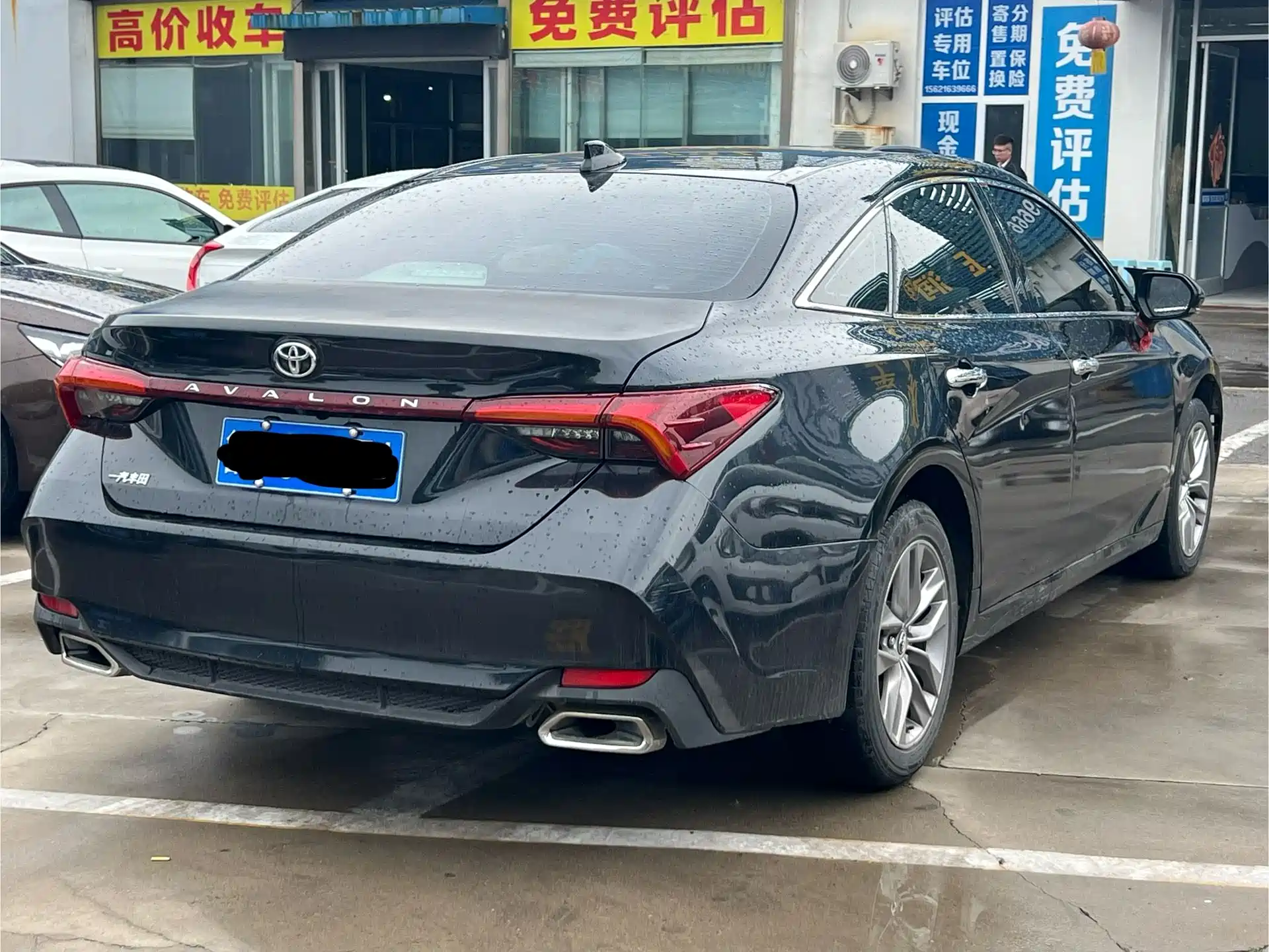 Фото 5 - Toyota Avalon