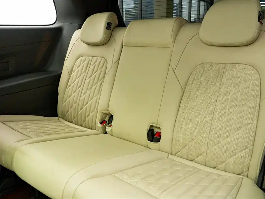 Buick GL8 2022 ES Landmark 653T Luxury фото 24
