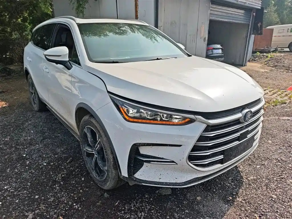 BYD Tang New Energy 2021 DM-i 112KM Honor фото 4