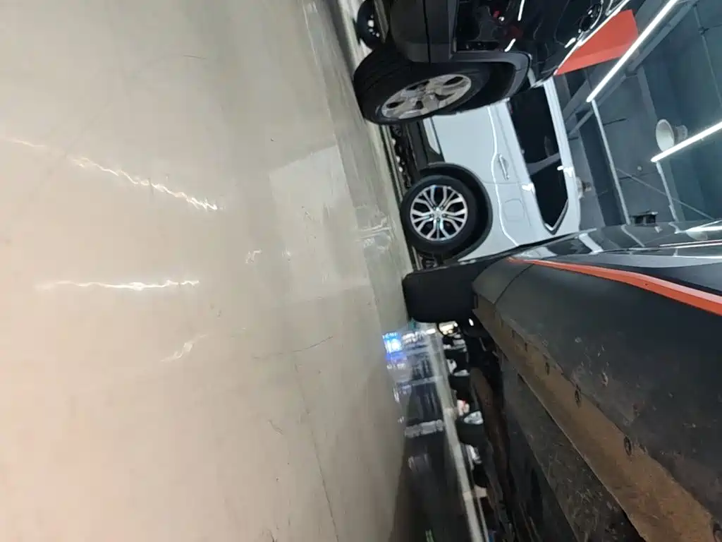 Haval Shenshou 2023 2022 1.5T Smart Enjoyment Edition