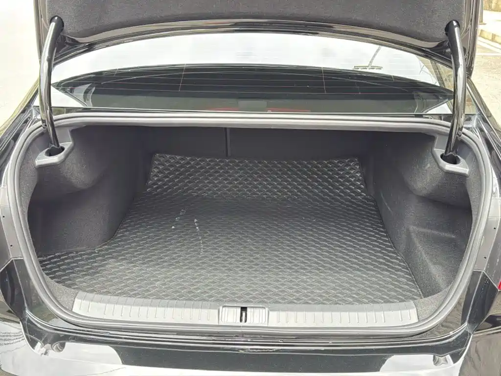 Volkswagen Magotan 2025 2025 Facelift II Public Edition 330TSI DSG Luxury