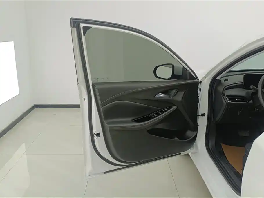BUICK WEILANG
