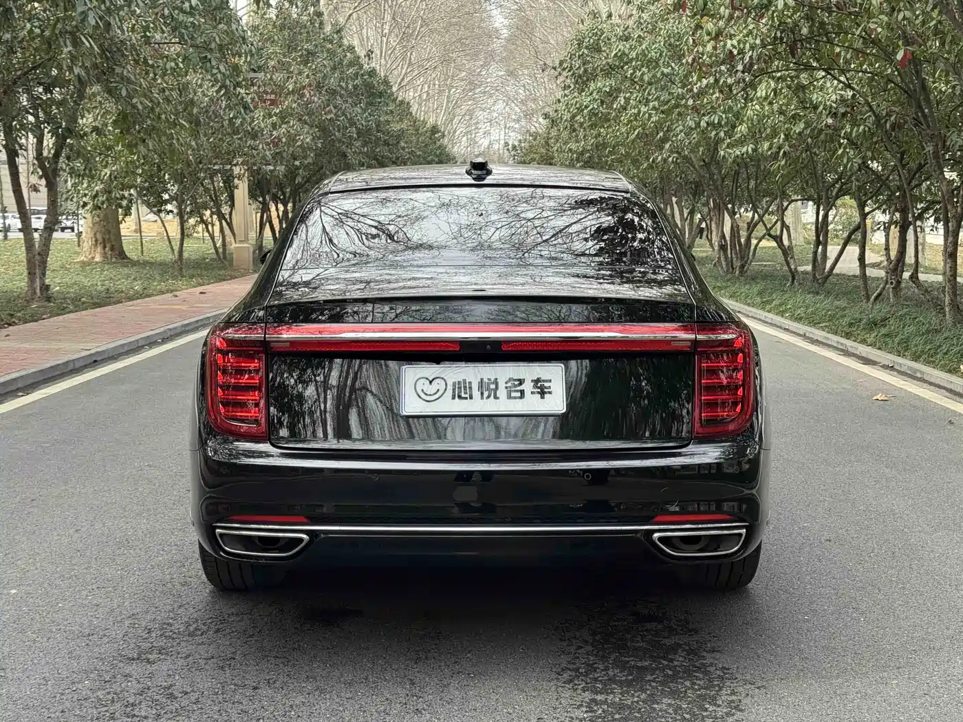  HONGQI H9