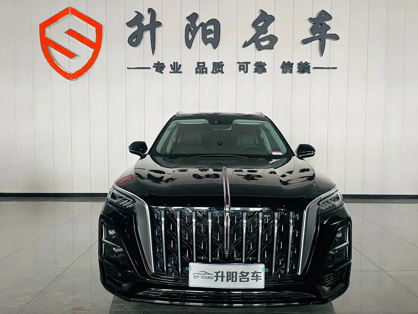 Hongqi HS5 2023 2.0T Flag Enjoy Pro Edition фото 3