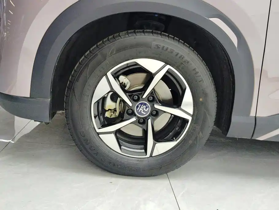 BYD Yuan UP 2024 2024 401KM Surpass Edition
