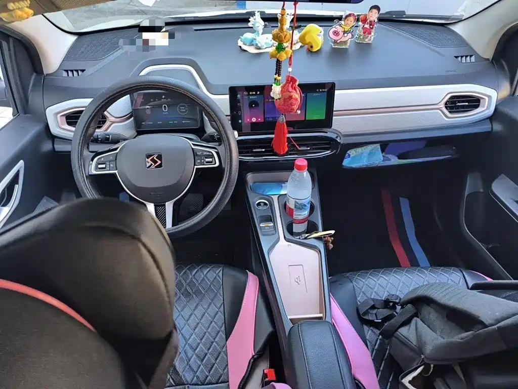 Sehol Flower Fairy 2021 2021 302km Luxury Edition 31.4kWh