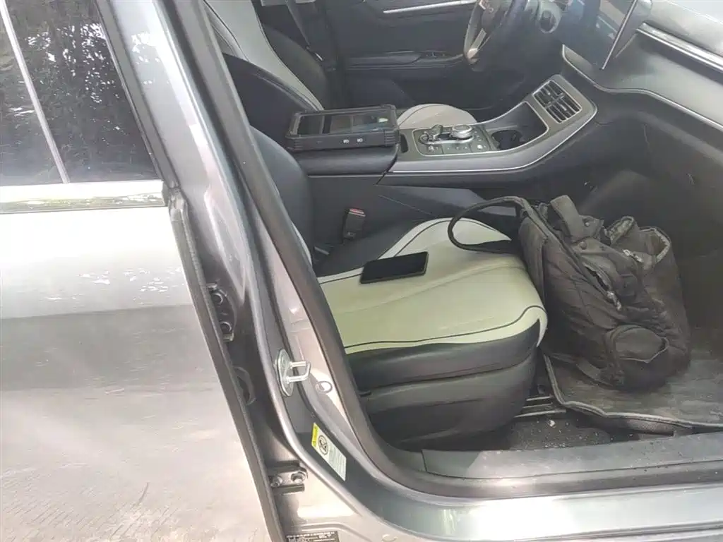BYD Destroyer 05 2024 Glory Edition DM-i 55KM Luxury фото 25