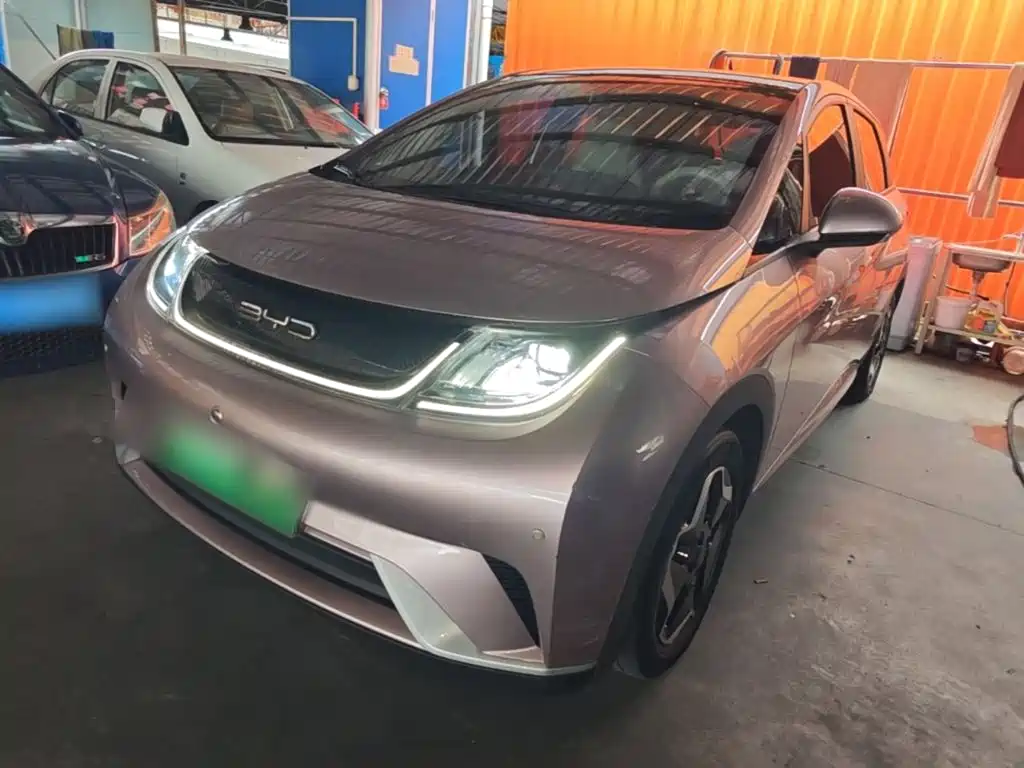 BYD Dolphin 2021