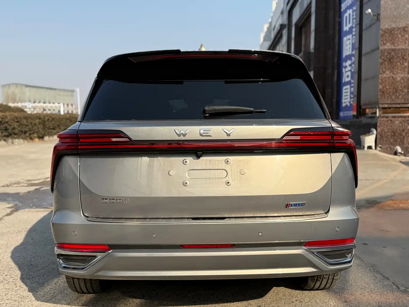 WEI PAI WEI BRAND BLUE MOUNTAIN