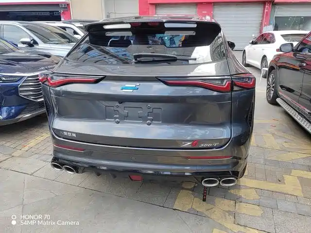 Changan Oshan Z6 2024 2023 Blue Whale 1.5T DCT Smart Leader