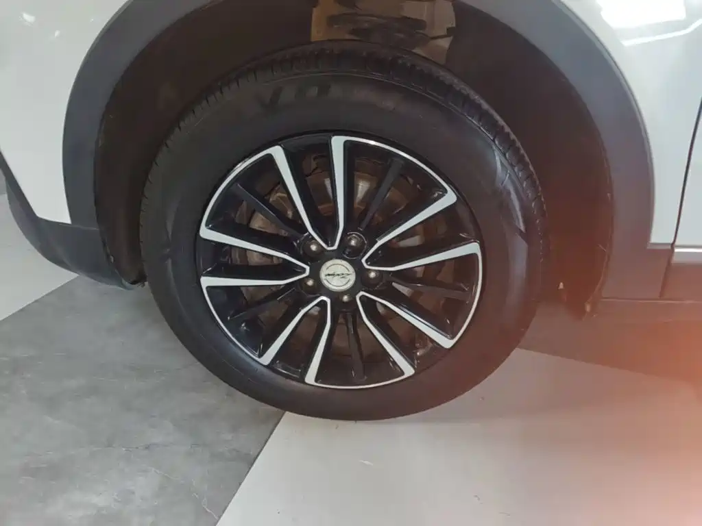 صورة 23 - Zotye T500