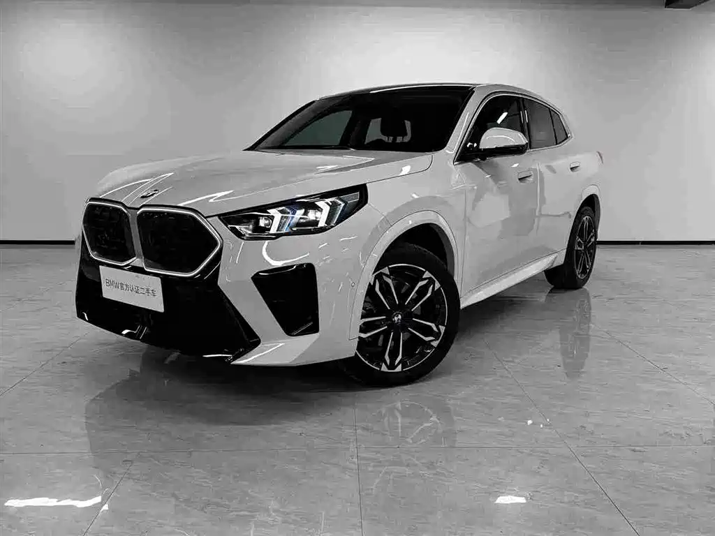 Фото 1 - BMW X2 (Import)