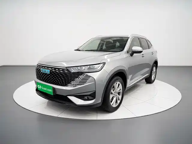  Haval Haval H6 New Energy 2023 DHT-PHEV 110KM Joy Ride Edition