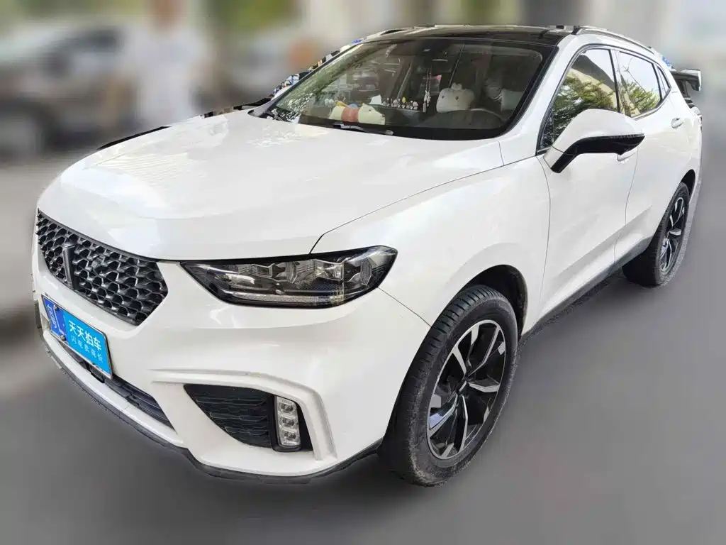 WEY VV5 2020 2020 1.5T 2WD Smart Pioneer