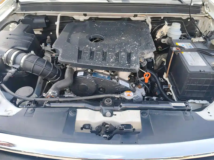 GREAT WALL FENGJUN 5