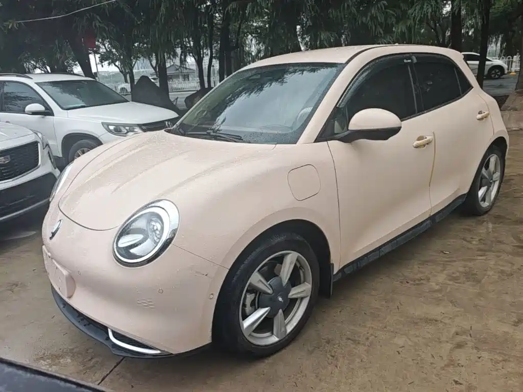 Ora Ora Good Cat 2023 401km Standard Range Luxury LFP