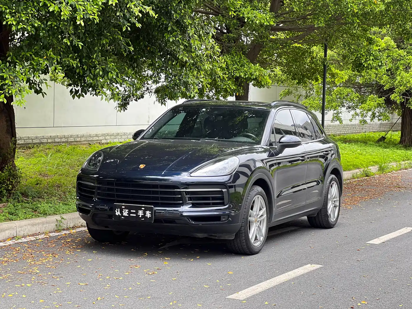 Porsche Cayenne 2022 Cayenne 3.0T Platinum Edition
