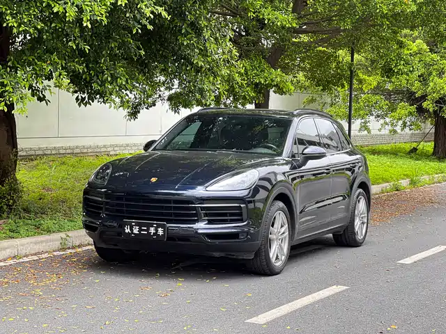 Porsche Cayenne 2022 Cayenne 3.0T Platinum Edition
