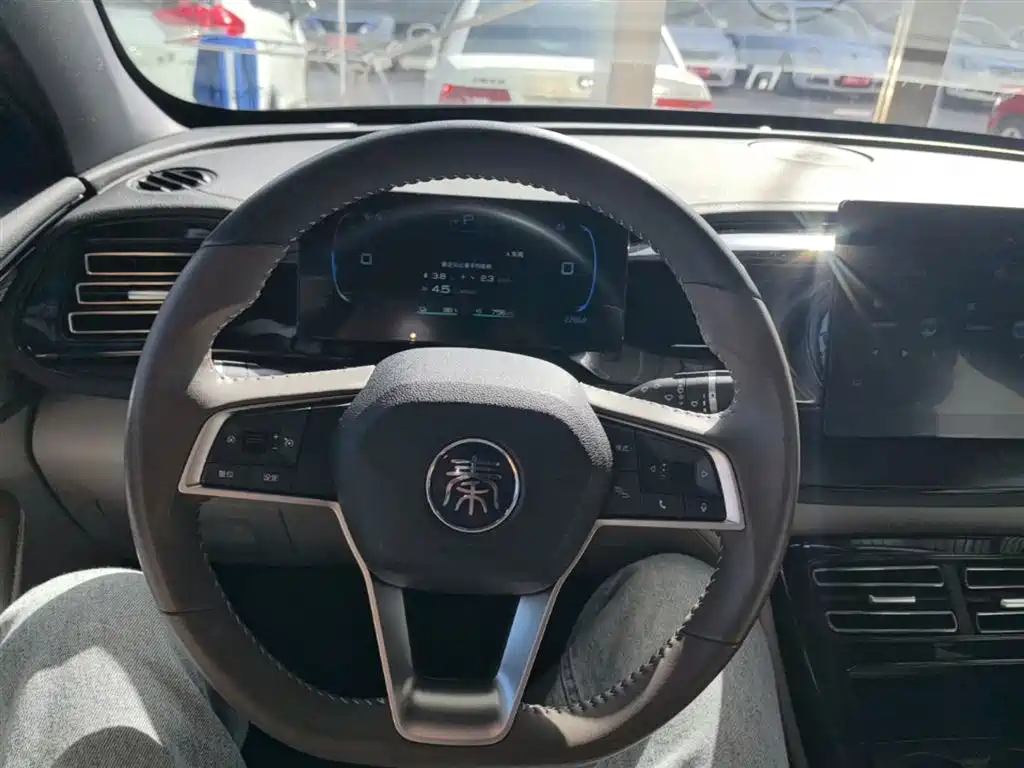 BYD Qin PLUS 2024 Glory Edition DM-i 55KM Leading фото 10