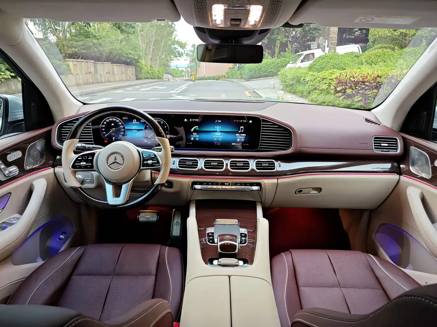 Mercedes-Benz Maybach GLS 2021 GLS 480 4MATIC фото 8