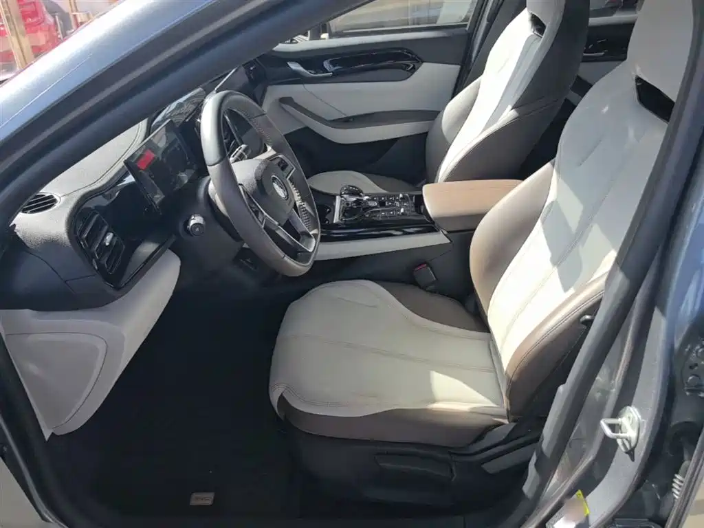 BYD Qin PLUS 2024 Glory Edition DM-i 55KM Leading фото 15