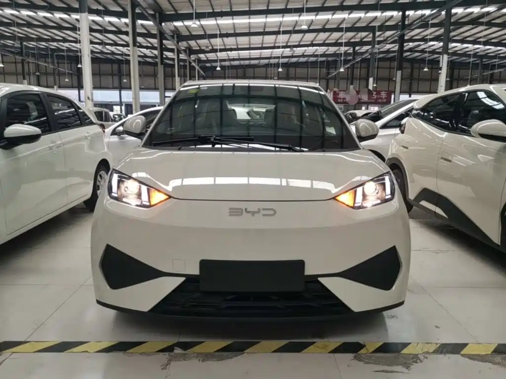 BYD Seagull 2026 2025 Smart Drive Edition 305km Vitality Version