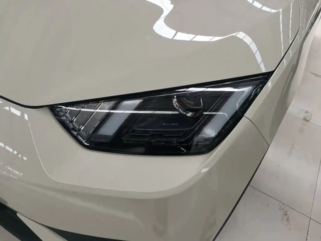 BYD Seagull 2026 2025 Smart Drive Edition 305km Vitality Version